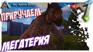 ARK Survival Evolved  ПРИРУЧЕНИЕ МЕГАТЕРИЯ TAMING MEGATHERIUM [upl. by Aihppa769]