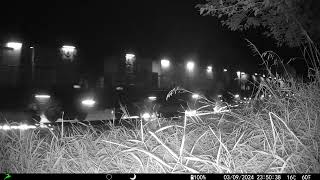 Loram rail grinder amp 2 track inspection trucks on the Spine Line at night [upl. by Gellman]