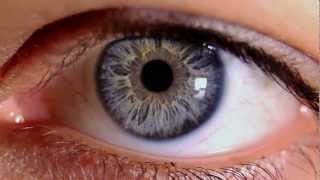 Macro Video of Human Eye amp Iris [upl. by Walling]