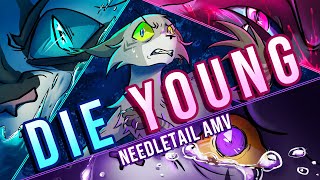 DIE YOUNG  Needletail AMV cw pink blood canontypical violencedeath [upl. by Irol]