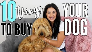 10 THINGS TO GET YOUR NEW PUPPY WITH MY GOLDENDOODLE DUDE [upl. by Gnivri]