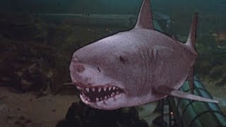 Jaws Quints Death Scene [upl. by Vorfeld]