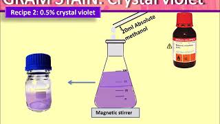 Gram stain Preparing Crystal Violet [upl. by Waneta]