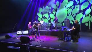 Spyro Gyra Live 2013 [upl. by Fihsak911]