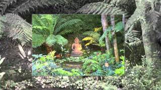 Buddhas in Gardens  HD  Calming Nature Buddha Meditation [upl. by Ackerley]