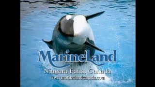 MarineLand Commercial [upl. by Yelsnia]