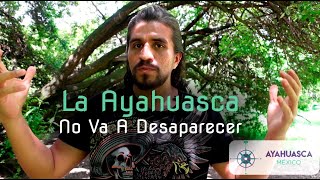 La Ayahuasca No Va A Desaparecer [upl. by Yatnuahs]