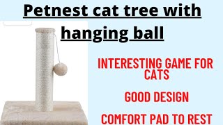 PetNest 12 Cat Scratching PostsCat Trees with Hanging Ball  Unboxing and Complete Setup Tips [upl. by Euqinay345]