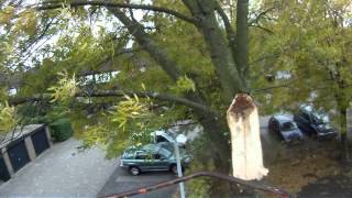 Stormschade es kappen Papendrecht 28 10 2013 [upl. by Indys282]