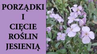 Jakich roślin NIE przycinać jesienią❌  Cięcie bylin  Za i przeciw sprzątaniu ogrodu na zimę 👩🏻‍🌾🌺😁 [upl. by Aelanna]