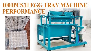 Egg Grading Machine Automatic Egg Sorting  OptiGrader by SANOVO  Gentle Egg Packing and Grading [upl. by Pasol]