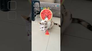 ❤️ animais gamefilter cat gamefilter catlover animals filter filterchallenge shortsvideo [upl. by Lorrayne]