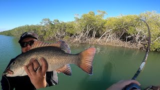 MANGROVE JACK MADNESS PT1 [upl. by Burnie]