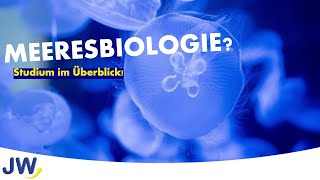 Das Studium der Meeresbiologie im Überblick [upl. by Woodring854]