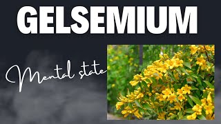 GELSEMIUM passionatehomeopathpassionatehomeopath  homeopathicmedicine [upl. by Ardnossac]