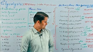 Glycolysis RespirationBioenergeticsSTB NCERT FTB PTB Hindi UrduProSuresh Kumar [upl. by Yro281]