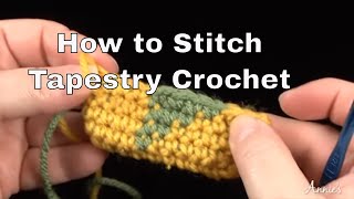 How to Stitch Tapestry Crochet  an Annies Tutorial [upl. by Sontag]