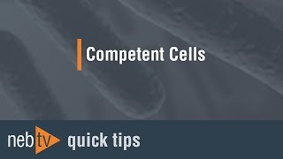 Should I choose chemically competent or electrocompetent cells [upl. by Mcleod]