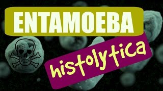 Entamoeba histolytica PATOGENIA PARTE 2 ❤ [upl. by Emil216]