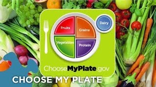 Choose My Plate Dietary Guidelines [upl. by Odlanyar]