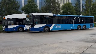 VDL Citea XLE 145  More at Busstation Leeuwarden 4K60 HDR [upl. by Picker136]