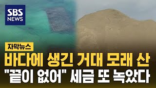 바다에 생긴 거대 모래 산…quot끝이 없어quot 세금 또 녹았다 자막뉴스  SBS [upl. by Minsat]