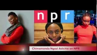 Chimamanda Ngozi Adichie NPR Interview [upl. by Dnalyram]