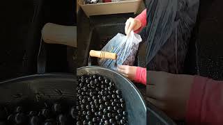 Jabuticaba Fruta  Colhida no Quintal frutas fruta jabuticaba comida ブルーアーカイブ [upl. by Adnerak]