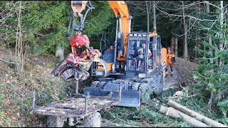 Bagger mit Prozessor beim Holz 🇨🇭🪓🌲 an der Seilbahn mit Forstunternehmen Bernet amp Mathys Teil 3 [upl. by Aible50]