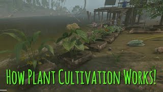 Everything You Need To Know About Plant Cultivation  Green Hell [upl. by Aihsetan]