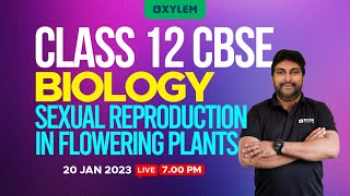 Class 12 Biology Sexual Reproduction in Flowering Plants  Pollination I202324 PART4 [upl. by Stoneman500]