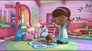 quotGet Your Pet to the Vetquot Song 1  Doc McStuffins  Disney Junior UK [upl. by Gussi244]