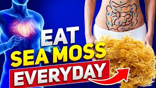 What Are The Sea Moss Benefits For Men and Women [upl. by Stevana]