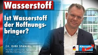 Wasserstoffsymposium der AfD Fraktion im deutschen Bundestag [upl. by Rosenberger]