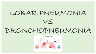 LOBAR PNEUMONIA VS BRONCHOPNEUMONIA BRONCHOPNEUMONIA LOBAR PNEUMONIA PNEUMONIA [upl. by Gniw]