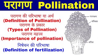 परागणPollination परागण के प्रकारTypes of Pollination परागण महत्त्व importance of pollination [upl. by Livvi]