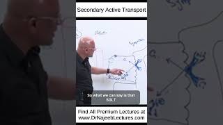 Secondary Active Transport shortvideo shorts drnajeeb drnajeeblectures [upl. by Acinod]