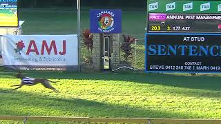 Capalaba21072024Race11 [upl. by Wanda]