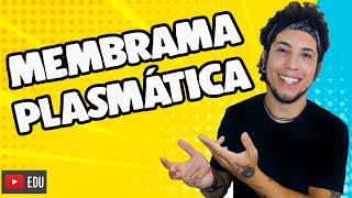 Membrana Plasmática  Aula de Biologia │Funções e Características da Membrana Plasmática [upl. by Colwen]