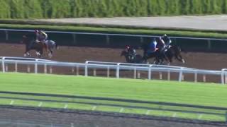 WORKOUT Arrogate 122716 [upl. by Shank540]