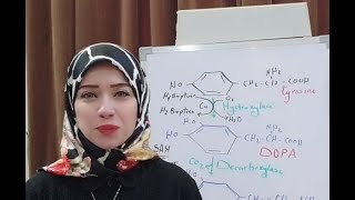 Protein Metabolism Session 16 Aromatic Amino Acids [upl. by Akiner]