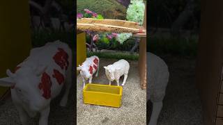 How to make cow shed with wood stick minicowshed schoolassignment animals [upl. by Ursuline]