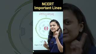 Brassicaceae Family  Revision Biology NEET  NCERT important lines for NEET  neet ncert biology [upl. by Arihas]