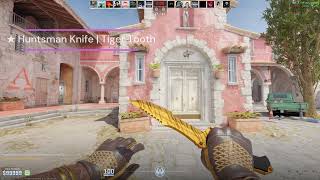 CS2 All Tiger Tooth Knifes Showcase [upl. by Auberbach908]