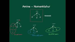 Amine  Nomenklatur [upl. by Vary]