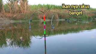 plung nyutt  spot seperti ini memang sarang ikan nila [upl. by Terces]