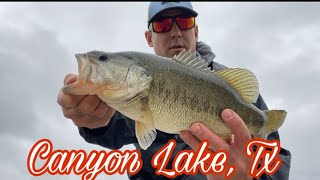 Bass fishing Canyon Lake  Tx with Berkeley swim baits [upl. by Aizti]