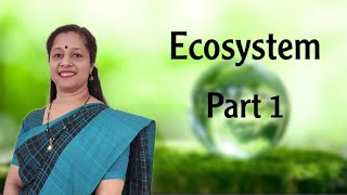 CLASS12 ECOSYSTEM PART1 STRUCTURE AND FUNCTIONS OF ECOSYSTEM PRODUCTIVITY [upl. by Ursi]