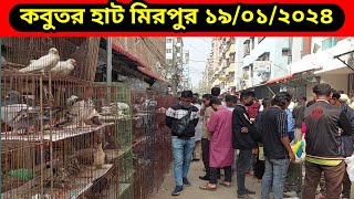 মিরপুর ১ কবুতরের হাট কোথায় কবে কি বারে বসে ২০২৪  Mirpur 1 Kobutor Hat Today Video Location 2024 [upl. by Mourant377]