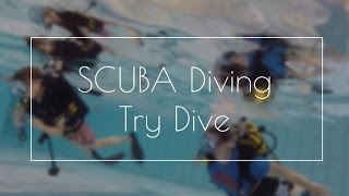 SCUBA Try Dive  BSAC Club diving taster session [upl. by Ole]